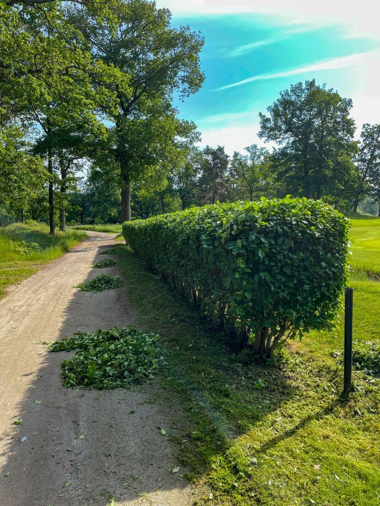 Frivilligkåren 2026-06-08-8