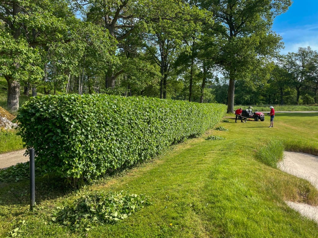 Frivilligkåren 2026-06-08-9