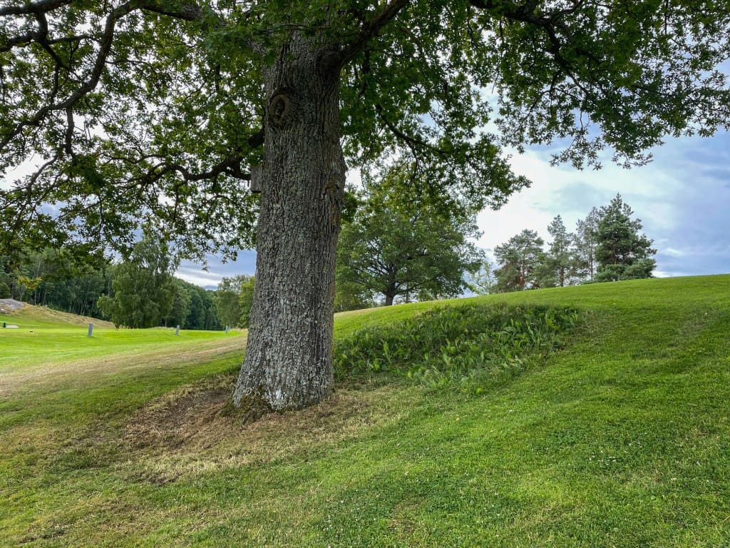 Frivilligkåren 2026-07-20-2