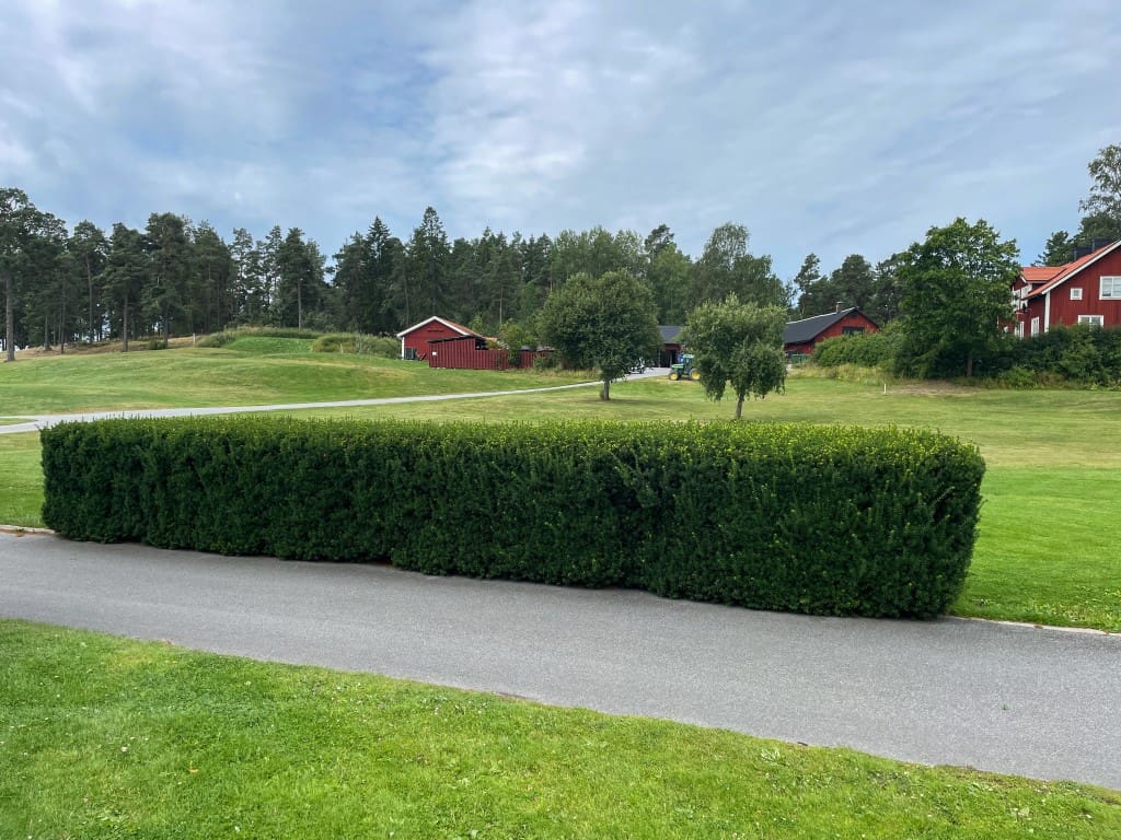 Frivilligkåren 2026-07-20-4